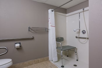 Superior Room, 1 King Bed, Accessible, Non Smoking (Roll-In Shower)