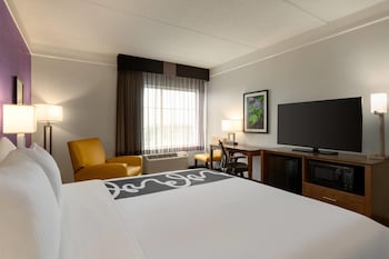 Room, 1 King Bed, Accessible, Non Smoking (Pool View, Tub with Grab Bars)