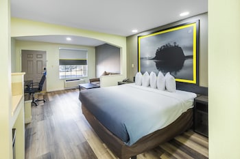 Room, 1 King Bed, Smoking