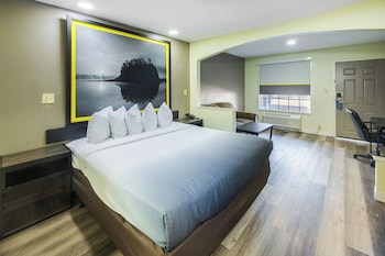 Room, 1 King Bed, Smoking