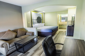 Room, 1 King Bed, Smoking
