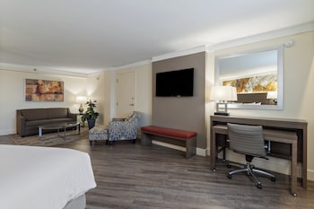 Junior Suite, 1 King Bed