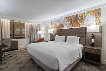Standard Room, 1 King Bed (Hideaway)