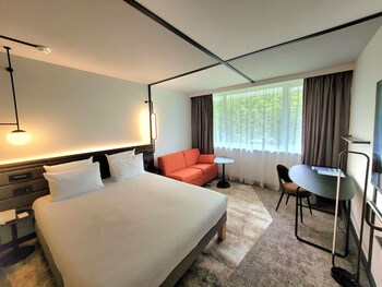Superior Room, 1 Queen Bed with Sofa bed