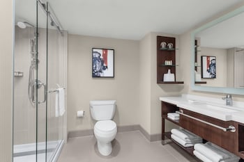 Studio Suite, 1 King Bed with Sofa bed