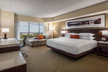 Room, 1 King Bed