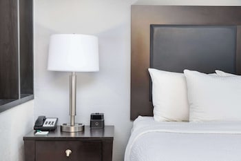 Suite, 1 King Bed, Non Smoking (1 Bedroom)