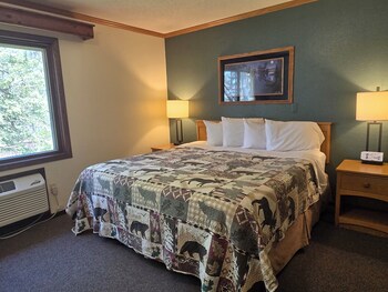 Room, 1 King Bed, Non Smoking