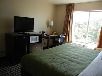 Room, 1 King Bed, Smoking