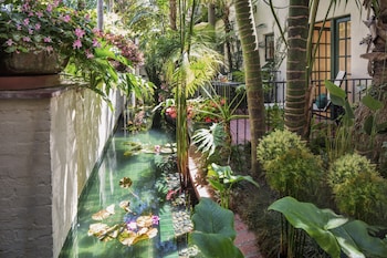 Junior Suite, Accessible (Jungle)