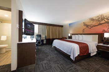 Standard Room, 1 King Bed, Microwave, Pool View
