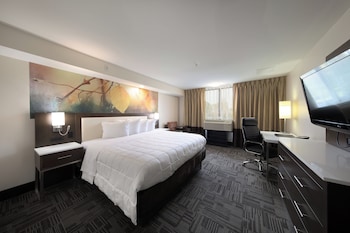Standard Room, 1 King Bed, Pool View