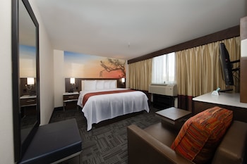 Suite, 1 Bedroom