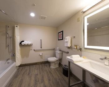 Standard Room, 1 King Bed, Accessible Bathtub (Accessible Tub)