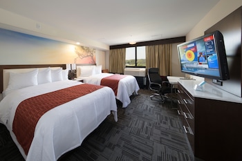 Suite, 1 Bedroom