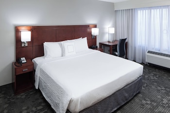 Room, 1 King Bed