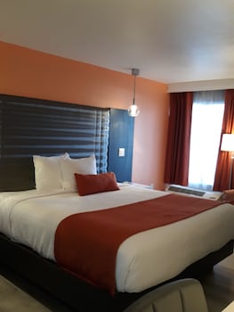 Standard Room, 1 King Bed, Pet Friendly, Non Smoking