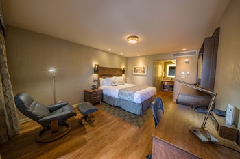 Standard Room, 1 King Bed (Deluxe King Bed Room Non-Smoking)