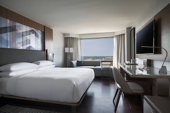 Room, 1 King Bed
