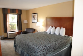 Room, 1 King Bed, Non Smoking