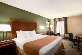 Room, 1 King Bed, Accessible, Non Smoking (Mobility/Hearing, roll-in shower)