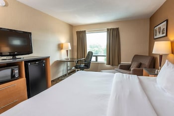 Comfort Room, 1 Queen Bed with Sofa bed, Ground Floor