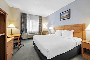 Room, 1 King Bed, Non Smoking