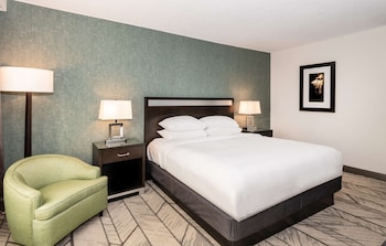 Room, 1 King Bed, Accessible, Bathtub