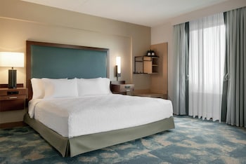 Room, 1 King Bed, Accessible, Bathtub