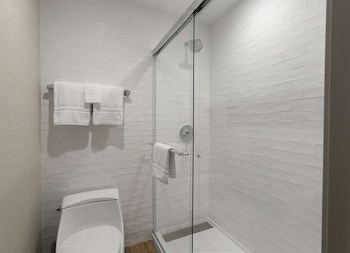 Suite, 1 King Bed, Accessible (Roll-In Shower)