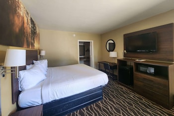 Room, 1 King Bed, Accessible, Non Smoking