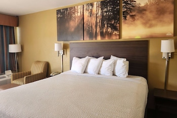 Standard Room, 1 King Bed, Non Smoking