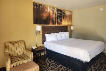 Studio Suite, 1 King Bed, Non Smoking