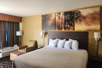 Standard Room, 1 King Bed, Smoking