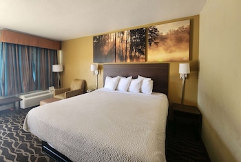 Standard Room, 1 King Bed, Non Smoking