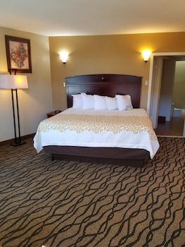 Studio Suite, 1 King Bed, Smoking