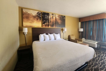 Studio Suite, 1 King Bed, Smoking
