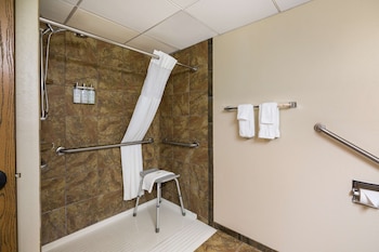 Standard Room, 1 King Bed, Accessible, Refrigerator & Microwave