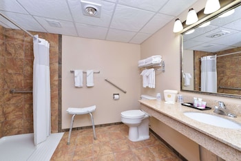 Standard Room, 1 King Bed, Accessible, Refrigerator & Microwave