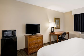 Standard Room, 1 King Bed, Accessible, Refrigerator & Microwave