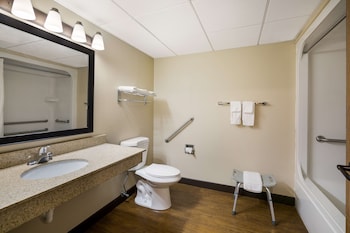 Standard Room, 1 King Bed, Accessible, Refrigerator & Microwave