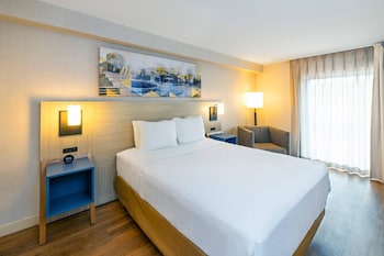Room, 1 King Bed, Non Smoking