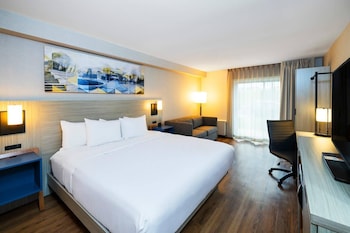 Room, 1 King Bed, Non Smoking