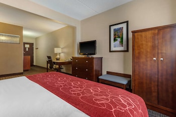 Suite, 1 King Bed with Sofa bed, Non Smoking (Rain shower)