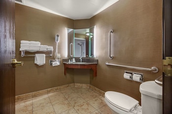 Suite, 1 King Bed with Sofa bed, Non Smoking (Bathtub)