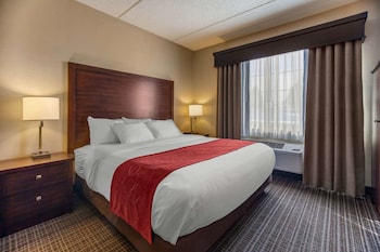 Suite, 1 King Bed with Sofa bed, Non Smoking (Rain shower)