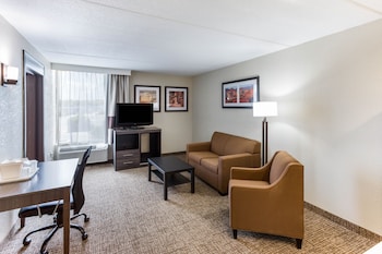 Suite, 1 King Bed, Non Smoking