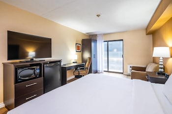 Standard Room, 1 King Bed with Sofa bed, Non Smoking (Dog Friendly)