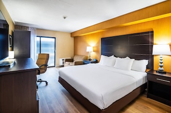 Standard Room, 1 King Bed with Sofa bed, Non Smoking (Dog Friendly)