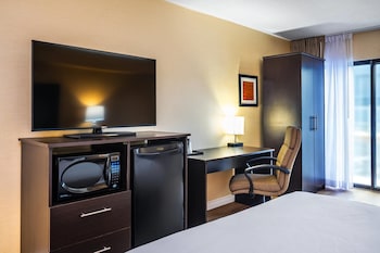 Standard Room, 1 King Bed with Sofa bed, Non Smoking (Dog Friendly)